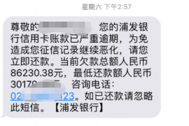 菏泽菏泽的要账公司在催收过程中的策略和技巧有哪些？